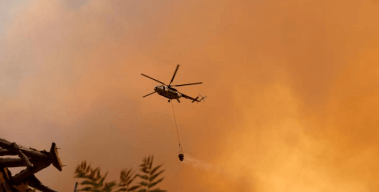 Orman yangınlarıyla mücadele sürüyor
