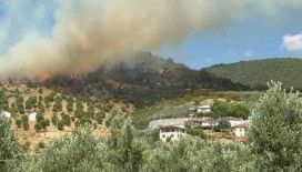 Bursa İznik’te büyük orman yangını
