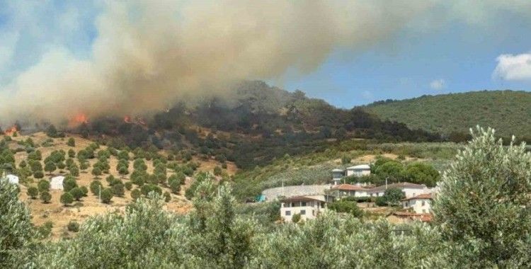 Bursa İznik’te büyük orman yangını
