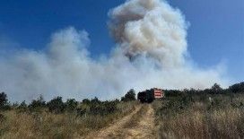 Silivri'de ormanlık alanda yangın çıktı