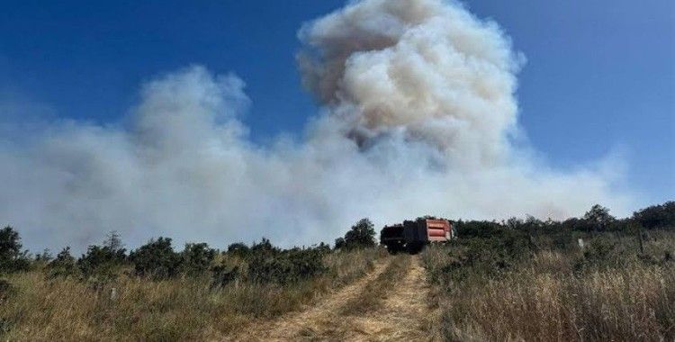 Silivri'de ormanlık alanda yangın çıktı