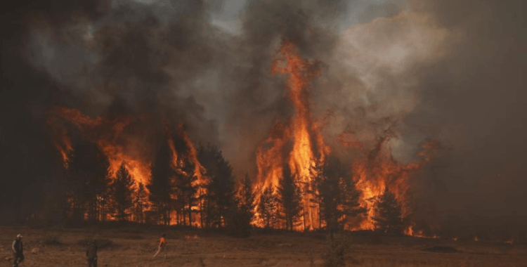 Orman yangınlarıyla ilgili gözaltına alınan 44 şüpheliden 10'u tutuklandı