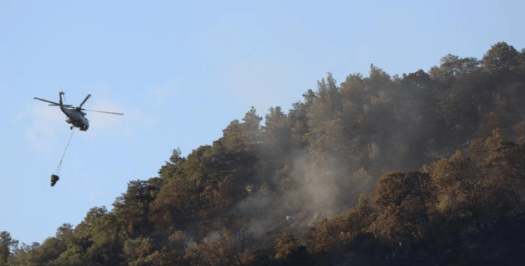 Fethiye'de çıkan orman yangını söndürüldü