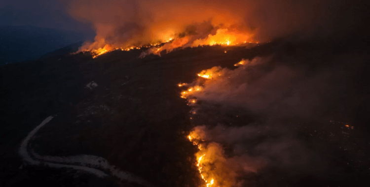 Hatay'ın Dörtyol ilçesinde orman yangını büyüyor: Tahliyeler ve müdahale sürüyor