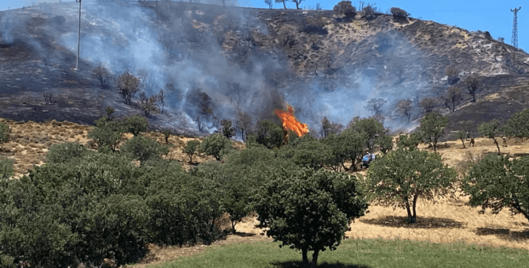 Mersin'de ormanda piknik yapan 4 kişiye para cezası verildi