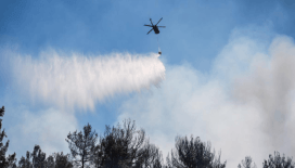 Bakan Tunç: Orman yangınlarıyla ilgili 13 kişi tutuklandı