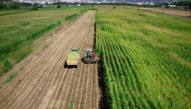 Tarımsal amaçlı örgütlerin derecelendirilmesine ilişkin esaslar düzenlendi