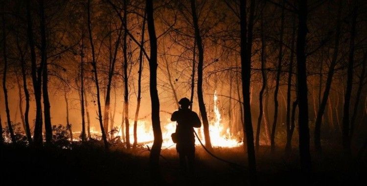 'Torba yasa ile ormanlar, zeytinlikler ve meralar sermayeye açılıyor' iddiasıyla ilgili DMM'den açıklama