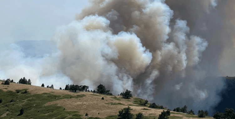 Konya'da orman yangını