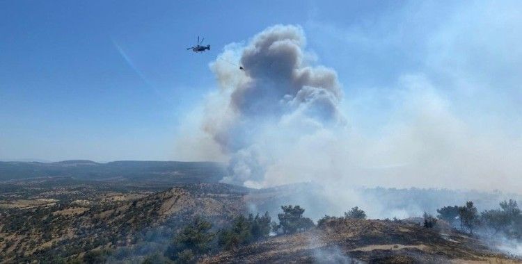 Çanakkale ve Tekirdağ'da orman yangını: Havadan ve karadan müdahale ediliyor