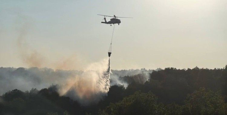 Kocaeli'deki orman yangını kontrol altına alındı