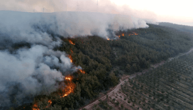 Tekirdağ ve Çanakkale'deki orman yangınlarına müdahale devam ediyor, rüzgar hız kesmiyor