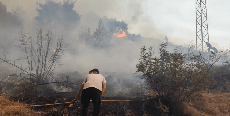 Sakarya'dan Bilecik'e sıçrayan orman yangınına müdahale sürüyor: Bir köy daha tahliye edildi