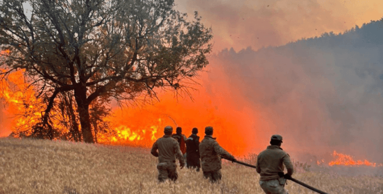 Çıkan 61 orman yangınıyla ilgili 4 şüpheli tutuklandı