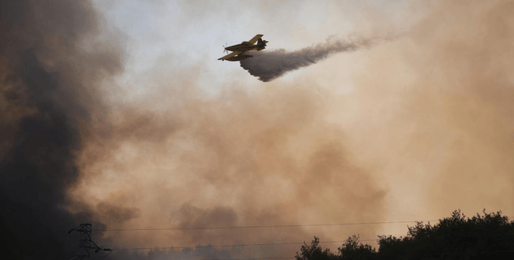 Bakan Yerlikaya orman yangınlarının bilançosunu açıkladı