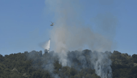 Sakarya'daki yangınla ilgili 2 kişi yakalandı
