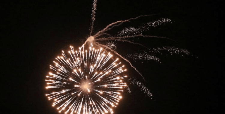 Yalova'da havai fişek kullanımı yasaklandı