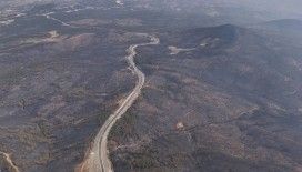 10 bin futbol sahası büyüklüğünde orman kül oldu