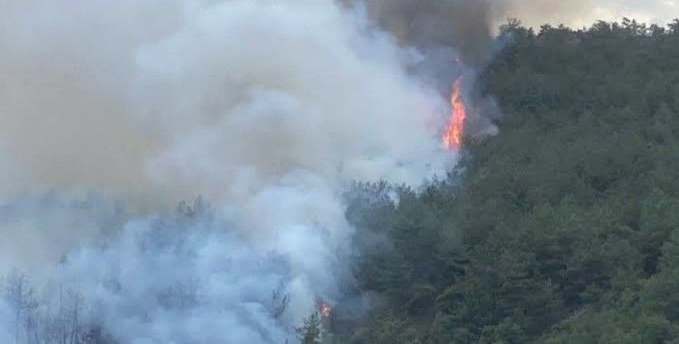 Karabük'te ormanlık alanda yangın çıktı