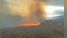 Balıkesir Paşalimanı Adası'nda yangın: Rüzgarın etkisiyle yayılıyor