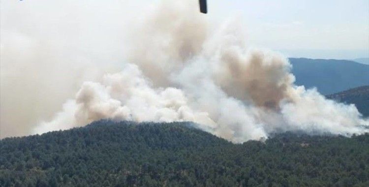 Sinop Durağan'da orman yangını: 100 haneli köy tahliye edildi