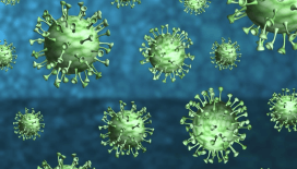 New York'ta gizemli hastalık alarmı: 99 kişiyi etkiledi, 4 kişi hayatını kaybetti