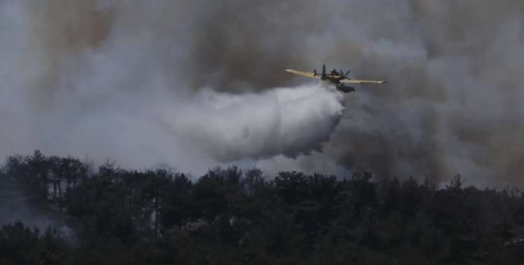 Malatya'da orman yangını: Bölgede ekiplerin müdahalesi sürüyor