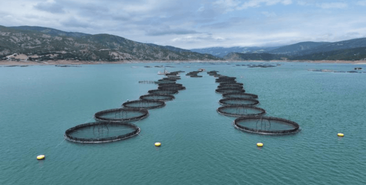 Tokat'tan 29 ülkeye balık ihraç edildi