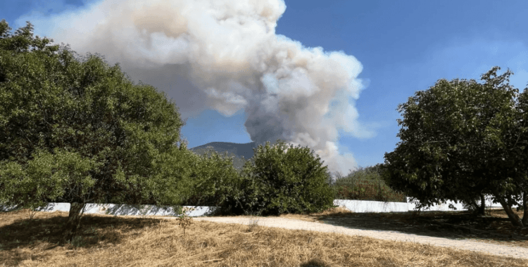 Denizli ve Malatya yangınlarında son durum: Pamukkale'de yangın büyük oranda kontrol altında