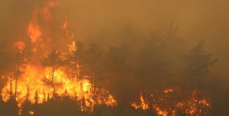 Hatay'da orman yangını çıktı: Ekipler alevlere müdahalede bulunuyor