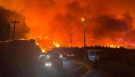 Bursa'da yine orman yangını çıktı: Ekiplerin müdahalesi sürüyor