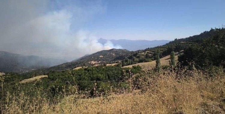 Denizli'de orman yangını çıktıDenizli'de orman yangını çıktı