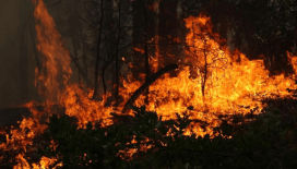 Karabük'te ormanlık alanda çıkan yangına müdahale ediliyor