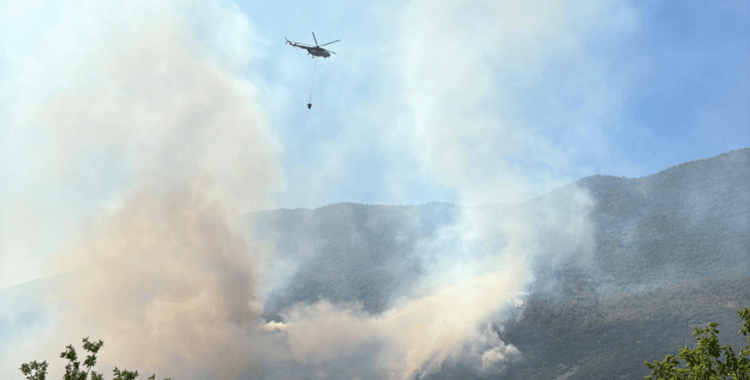 Bartın'da orman yangını