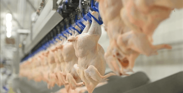 Market raflarındaki 13 markaya büyük ceza: Uygulama yasaklandı