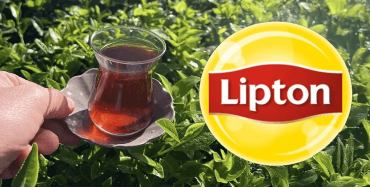 Lipton, 39 yılın ardından Türkiye'den çekiliyor