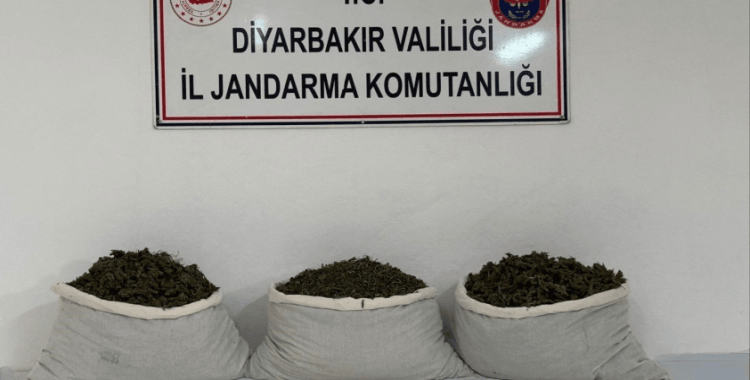 Diyarbakır’da uyuşturucu operasyonları
