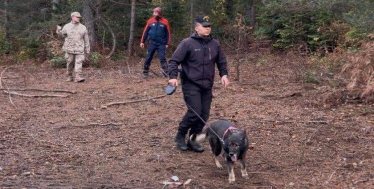 Kastamonu'da anne ve 5 yaşındaki oğlu 6 gündür kayıp: Arama çalışmaları sürüyor