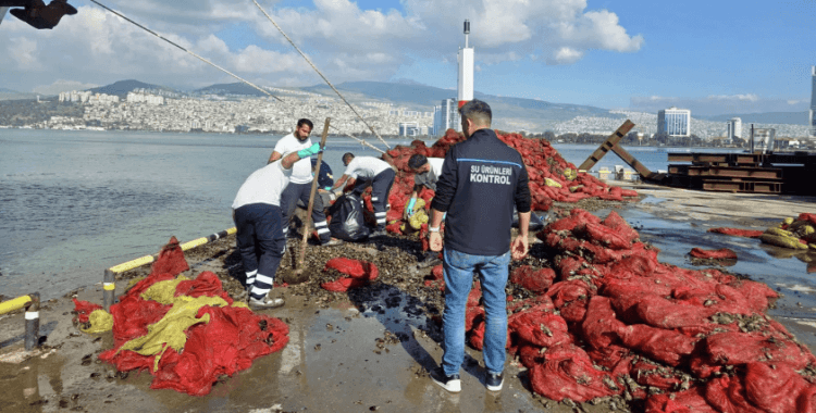 İzmir'de kaçak midye operasyonu: 27 ton midye ele geçirildi