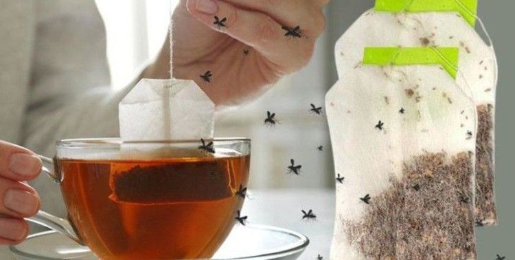 Poşet çayların içinde bin 200’den fazla böcek DNA’sı bulundu: 'İyiye işaret'