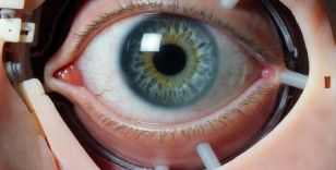 Güney Kore’den tıpta devrim: 'Beyne Bağlanan Yapay Gözle Görme Yetisi Geri Döndü'