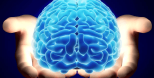 Nörologlar beyin için en zararlı 6 gıdayı açıkladı