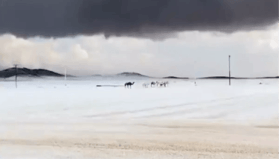 Arabistan'a kar yağdı mı? Arabistan'ın neresine kar yağdı , Kabe'ye Mekke'ye kar yağdı mı?