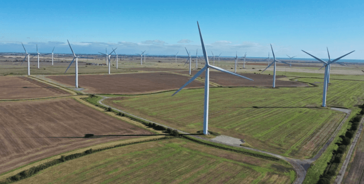 Rüzgar enerjisi rekor kırıyor: Peki türbinler neden duruyor?