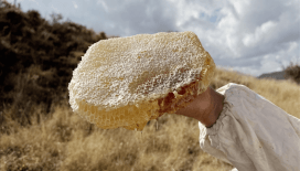 Ilgaz'da satılan bal dünyanın en pahalı balı olarak Guinness Rekorlar Kitabı'na girdi