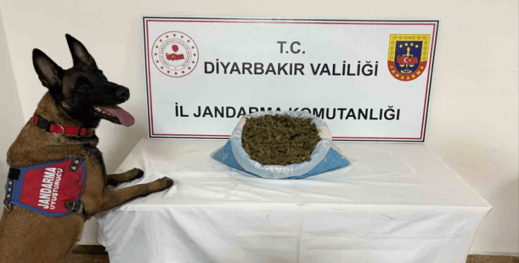 Diyarbakır’da 41 kilo esrar ele geçirildi