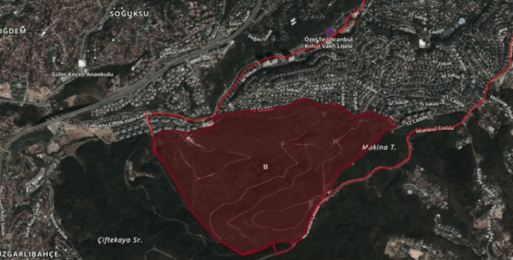 Beykoz’da ormanlık alan imara açıldı: Hissedar şirketin yöneticisi İBB itirafçısı olduğu iddia edilen isim çıktı