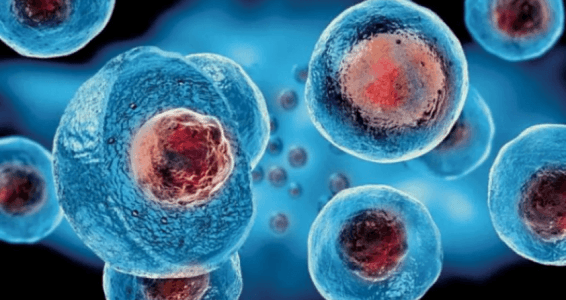 Japonya’da kök hücre araştırması: 'Saç Dökülmesine Karşı Yeni Umut'