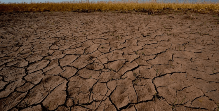 El Nino'nun etkileri devam ediyor: Dünyada nereler nasıl etkileniyor?