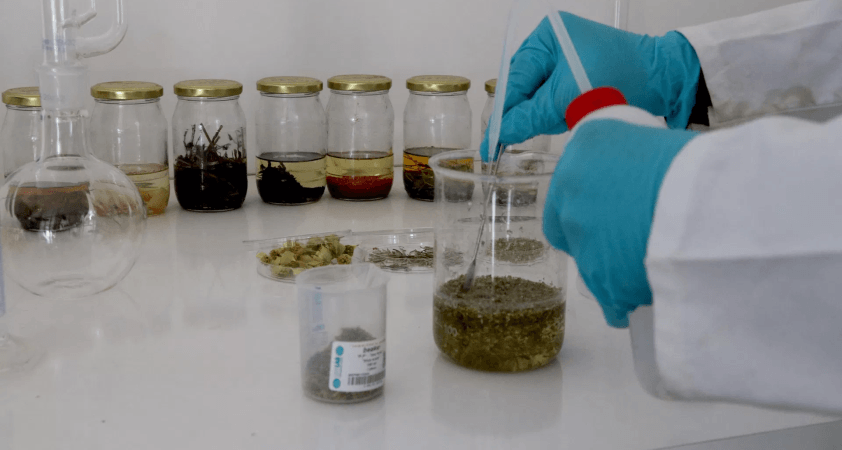 Gıda sektöründe yeni düzenleme: Domuz ve böcekli kaynaklı aroma vericilere yasak, 'doğal' ifadesine de kısıtlama geldi